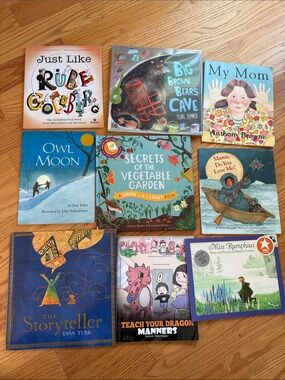 Children's Book Set - Assorted Color Picture Books
